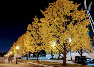 &#x{11:F8E2};なんでもいｰから&#x{11:F8E2};