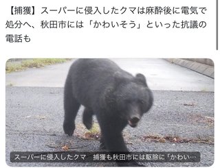 同情するなら引き取れ