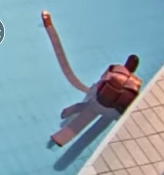 あざらし幼稚園って知ってる？