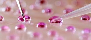 日本体外受精（IVF）市場、2032年までに年平均成長率15.2%に