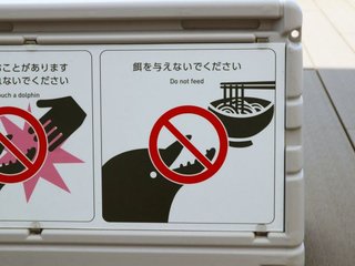 イルカに餌を与えないで……って「うどん」？　四国水族館の注意書き: