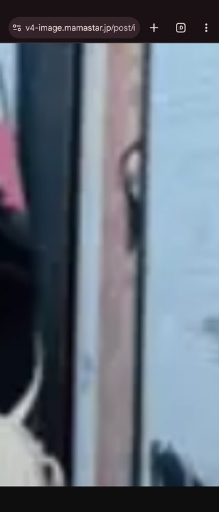 辻ちゃん家恒例餅つき大会が凄い！