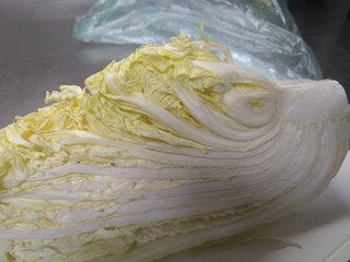 まーた白菜の真ん中が暴れてる
