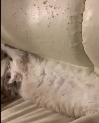 遠野なぎこ　好きな人だけ来て