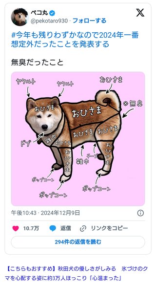 「2024年一番想定外だったこと」　柴犬の匂い分布図　「無臭だった」意外すぎる部位に驚きの声