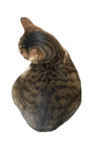 ちんまりしてる