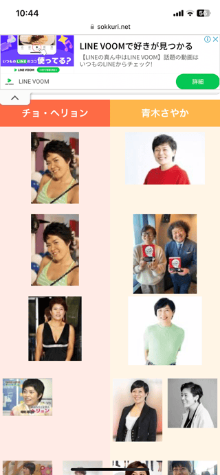 似てるって言われて微妙な気持ちになった有名人教えて