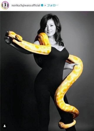 藤原紀香　全身にヘビ巻き付け衝撃ショット　ファン驚愕＆絶賛「女神のような姿」