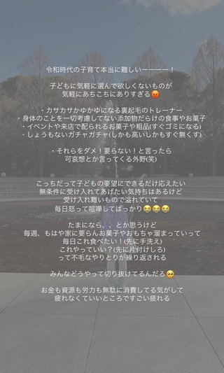 YouTuber さとみん《リリナージュ》《エシカルママ》