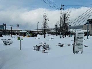「すご雪ですね」驚愕の光景公開、マユリカ中谷「今青森に来るのは危険すぎますよ」