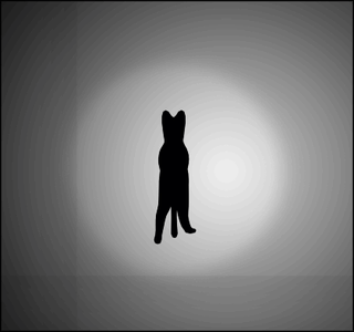 これどっち回りに見える？