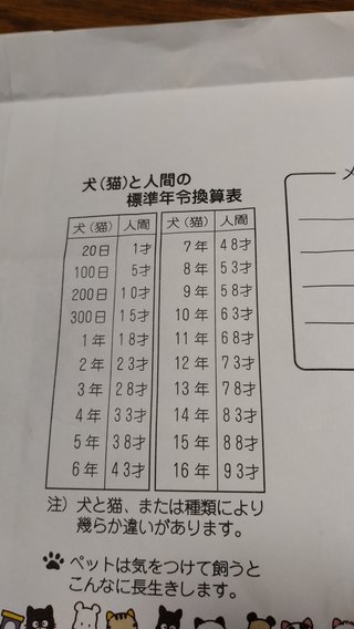 あなたの猫ちゃんワンちゃんいくつ？