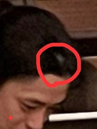 あいのり桃 しょう 