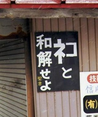 「ネコに裏切られた」松山総合公園で相次いだネコ虐待死　初公判で検察が大学生の男の動機示す【愛媛】