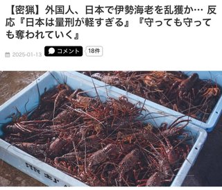 外国人が日本で伊勢海老を大量に密漁だって