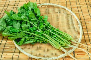 大根葉499円、こんな値段になってるの？