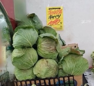 キャベツ1玉1000円ってマジか？