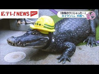 広島　ワニの「カイマン君」天国へ…４３年暮らしてきた飼い主「これからもずっと相棒」