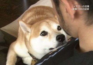 マリナーズのイチローさん殿堂入り