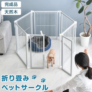 犬のトイレトレーニング