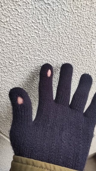 「そんなことある!?」ダイソー　“スマホ手袋”→よく見たら…　衝撃の“仕様”　商品説明に偽りなし