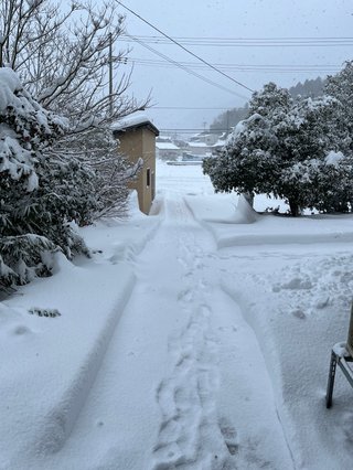 雪、余裕じゃん