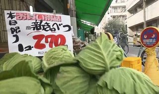 【野菜】キャベツ､値下がりの兆し  都内で一玉270円に