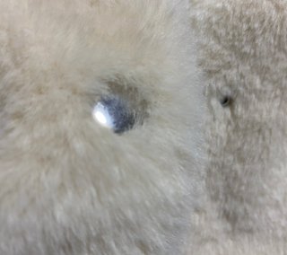 【ちらし裏】聞いてほしいの【ここに書け】