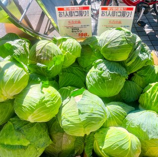 キャベツ 安くなったね。