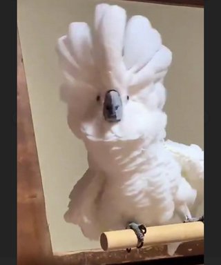 『プライベートバンカー』テレ朝系