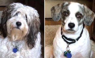 【芸能人】前髪アリとナシどっちが似合ってる？