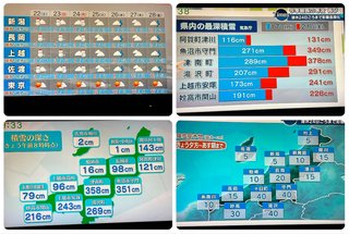 雪、余裕じゃん