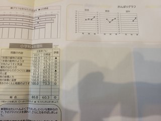 標準学力調査というのをもらって帰ってきました