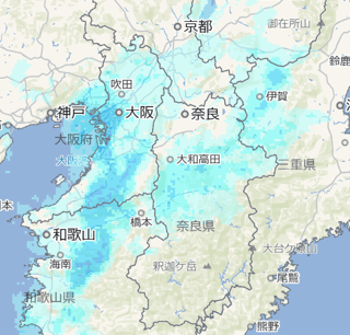 雪が降ってるんだけど
