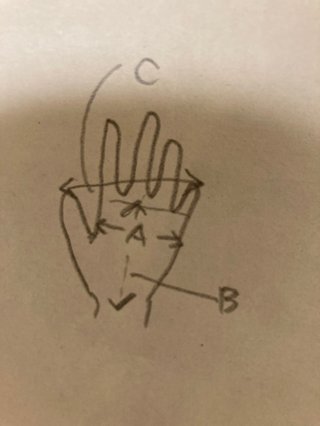 手の大きさ