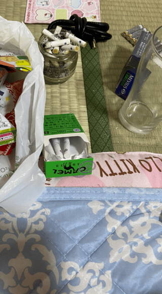 部屋にかなり大きいネズミが出た助けて！！！！！