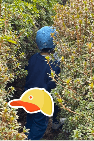 豆腐とズミと節男(雑談)