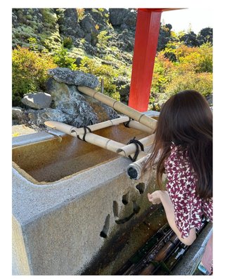 【アメブロ　たんぽぽ】雑談スレ