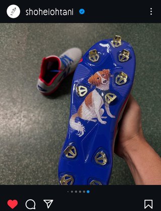 MLB(メジャーリーグ)2025 総合 改訂版