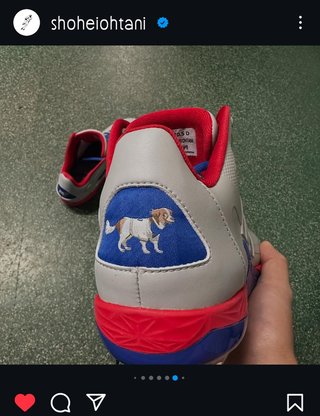 MLB(メジャーリーグ)2025 総合 改訂版