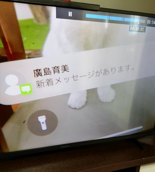 『クジャクのダンス、誰が見た？』TBS系