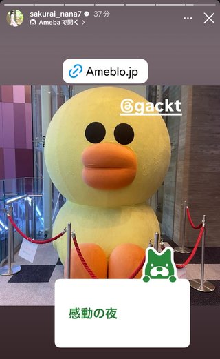 桜井奈々さんって