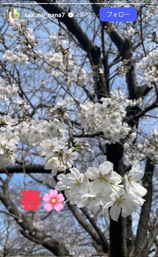 桜井奈々さんって