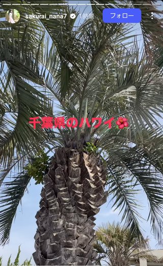 桜井奈々さんって