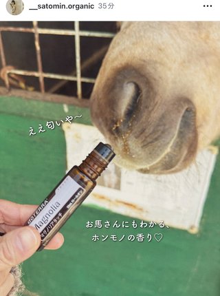 YouTuber さとみん《リリナージュ》《エシカルママ》