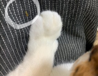 大人なのにカレー食べたらこぼした