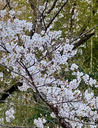 &#x{11:F8E2};なんでもいｰから&#x{11:F8E2};