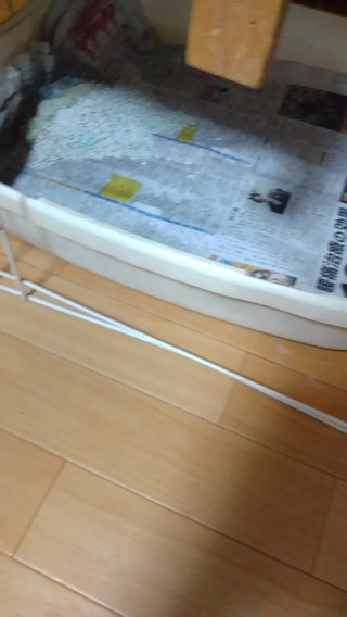 物価高騰でなにを節約したか？