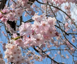 &#x{11:F8E2};なんでもいｰから&#x{11:F8E2};