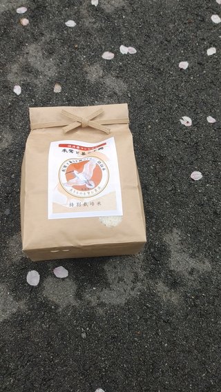 交差点で2000円以上お買い上げでお米2キロ108円のお米拾ったよ！！